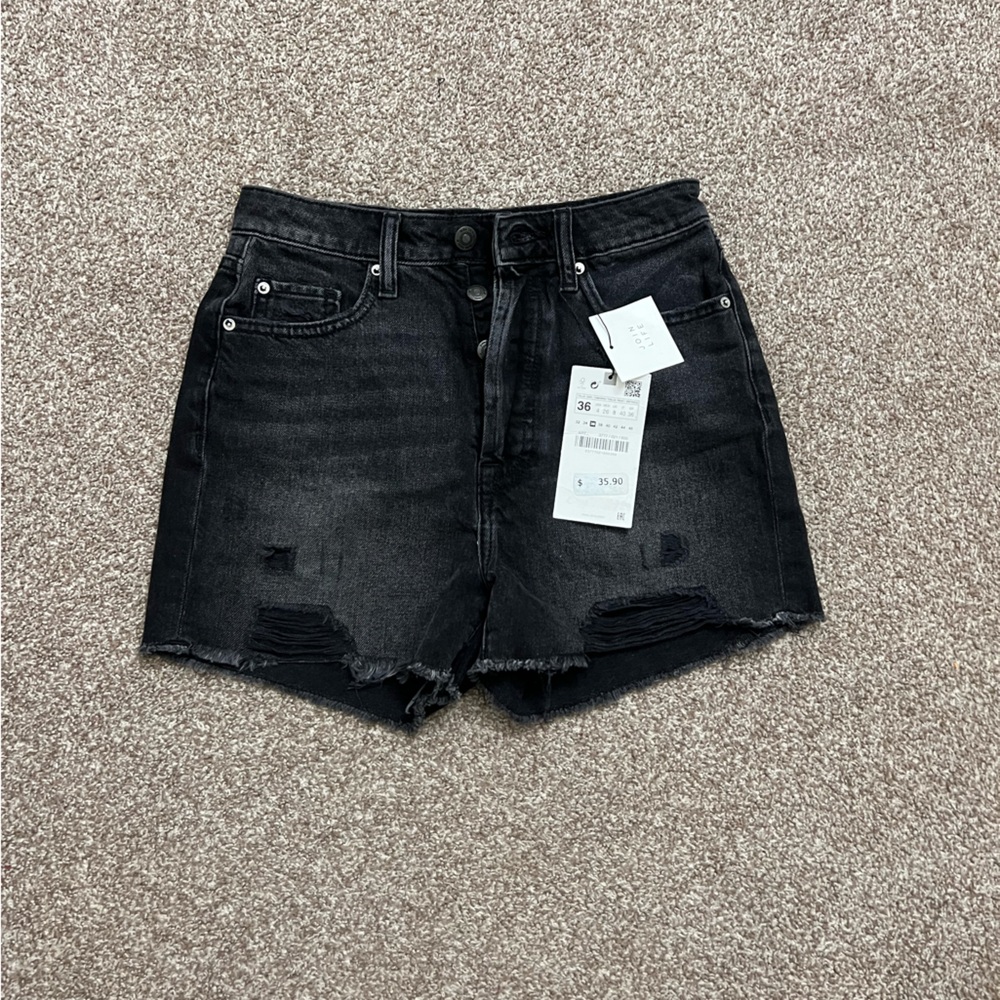 Zara shorts